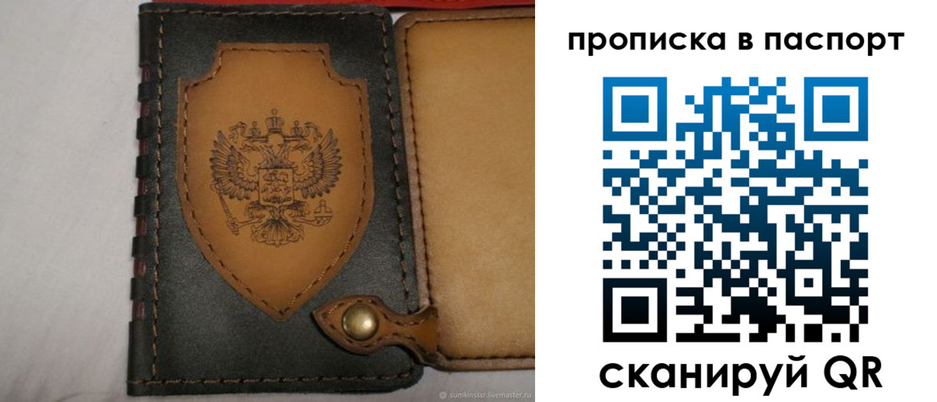 регистрация в Камчатской области