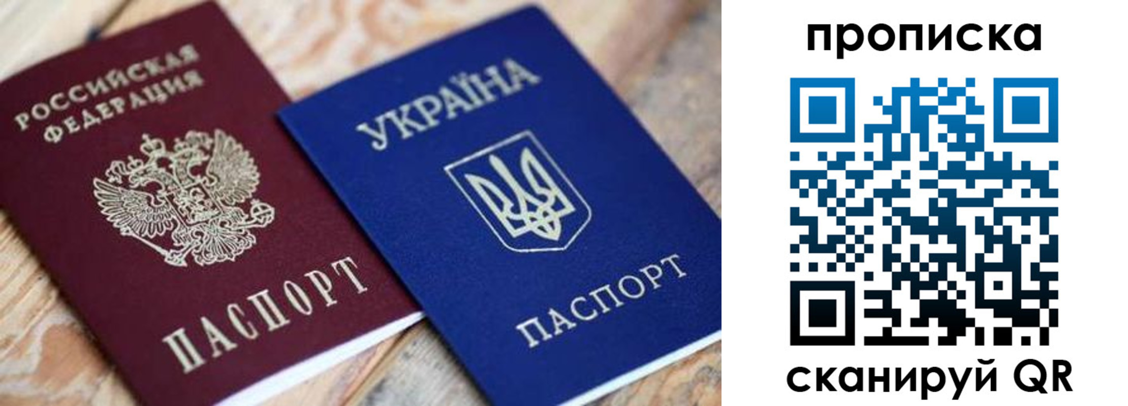 прописка поиск в Камчатской области